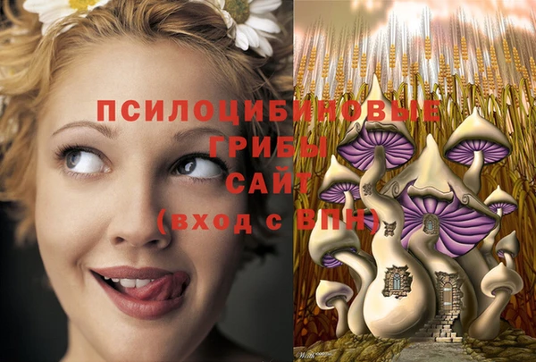 гидропоника Нягань