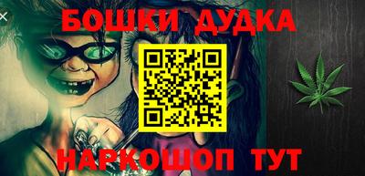 прущие грибы Абакан