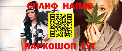 прущие грибы Абакан