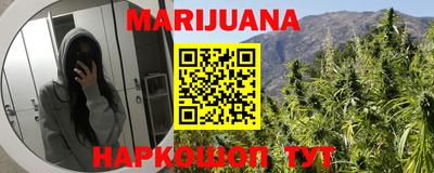 прущие грибы Абакан