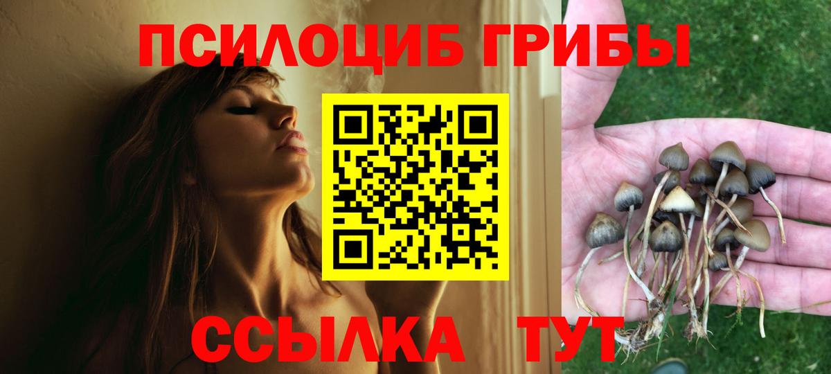 Псилоцибиновые грибы мицелий  Псилоцибиновые грибы мицелий  Нефтеюганск  продажа наркотиков  Вход с VPN 